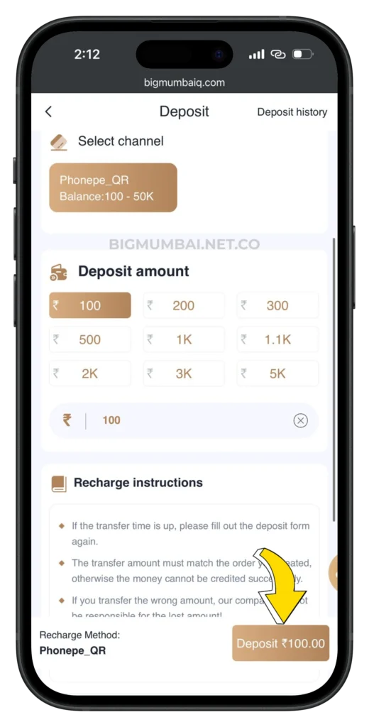 BIG MUMBAI DEPOSIT PAGE